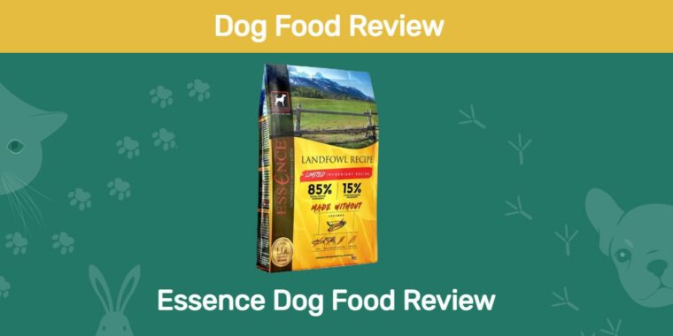Essence dog food review