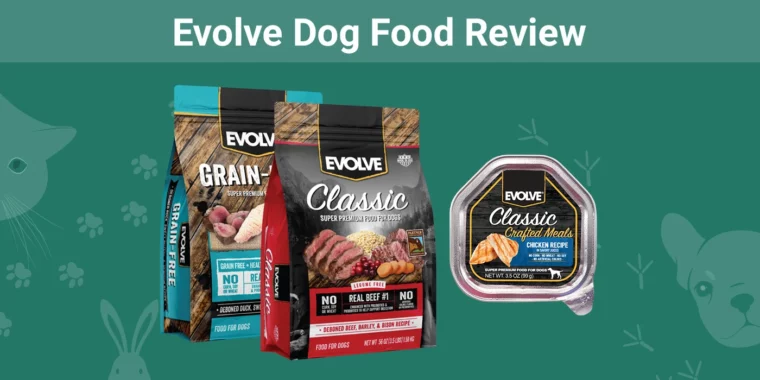 Evolve Dog Food - Featured Image