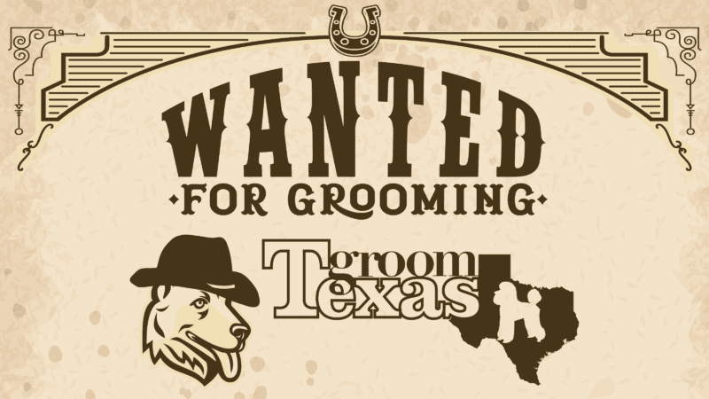 Groom Texas