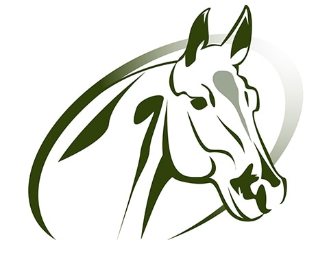 Horse Insurance Specialists
