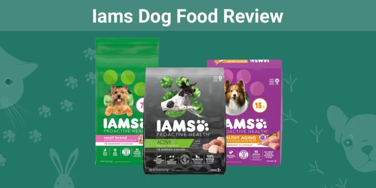 Iams Dog Food - Featured Image