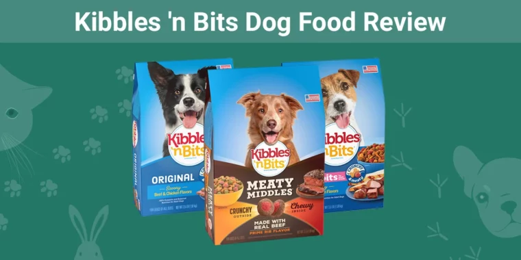 Kibbles 'n Bits Dog Food - Featured Image