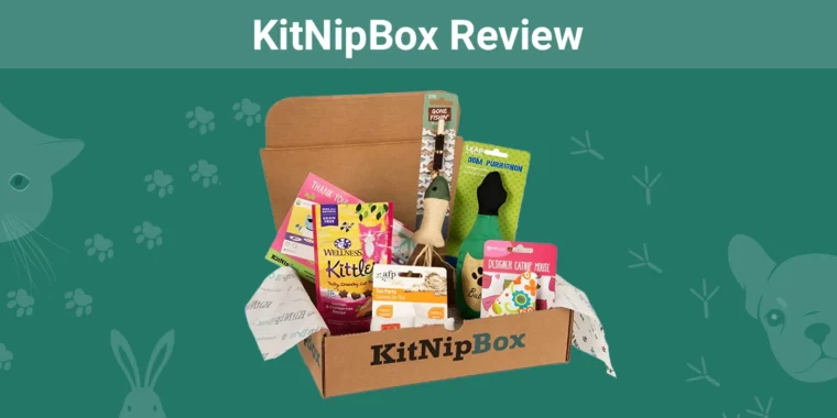 KitNipBox - Featured Image