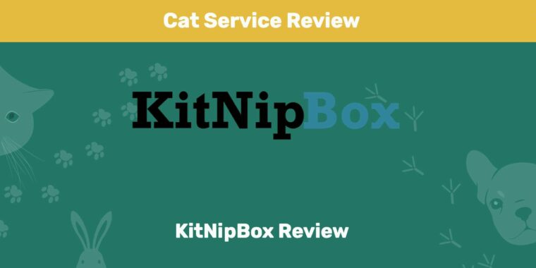 KitNipBox Review