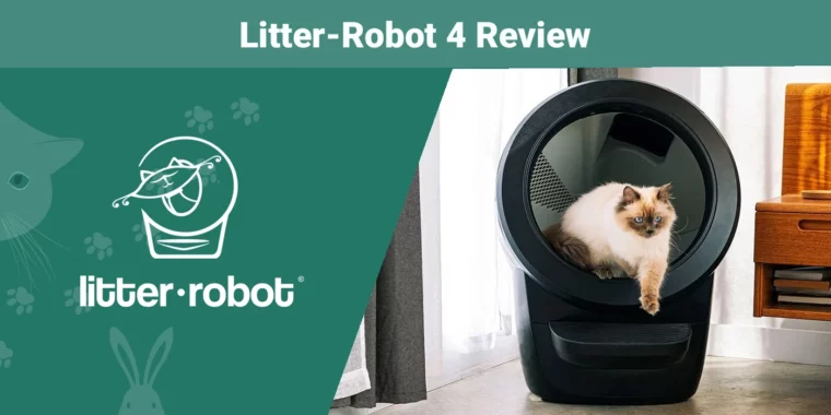 Litter-Robot 4 - Featured Image