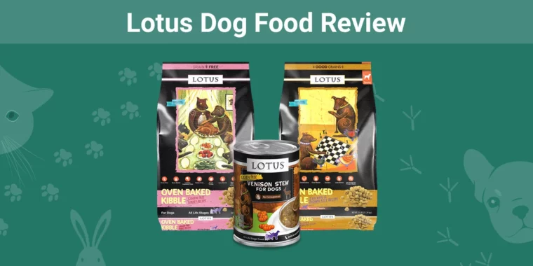 Lotus Dog Food - Featured Image
