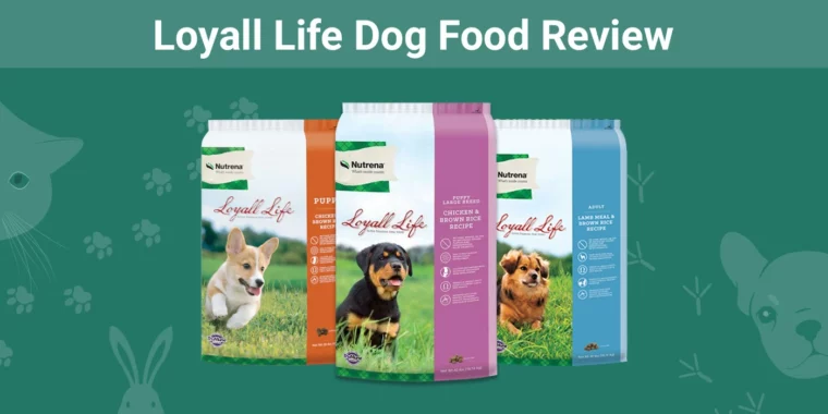Loyall Life Dog Food - Featured Image