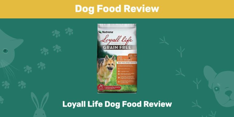 Loyall Life Dog Food Review