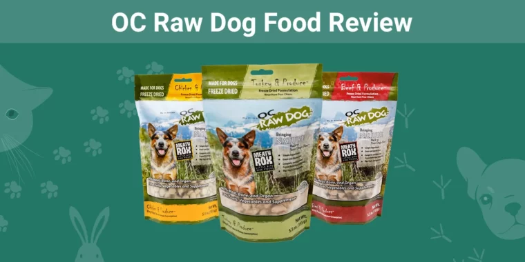 OC Raw Dog Food - Featured Image