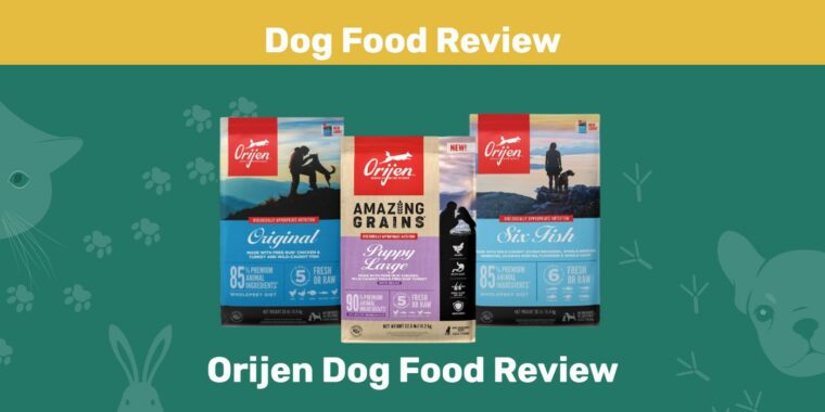 Orijen Dog Food Review
