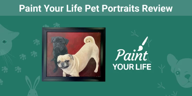Paint Your Life Pet Portraits - Featured Image