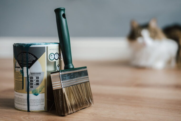 Paint can and brush on floor with cat in background