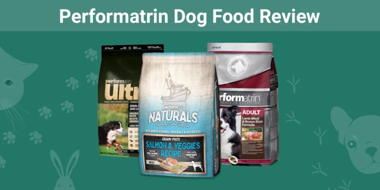 Performatrin Dog Food - Featured Image