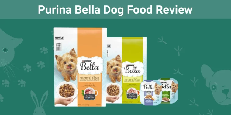 Purina Bella Dog Food - Featured Image