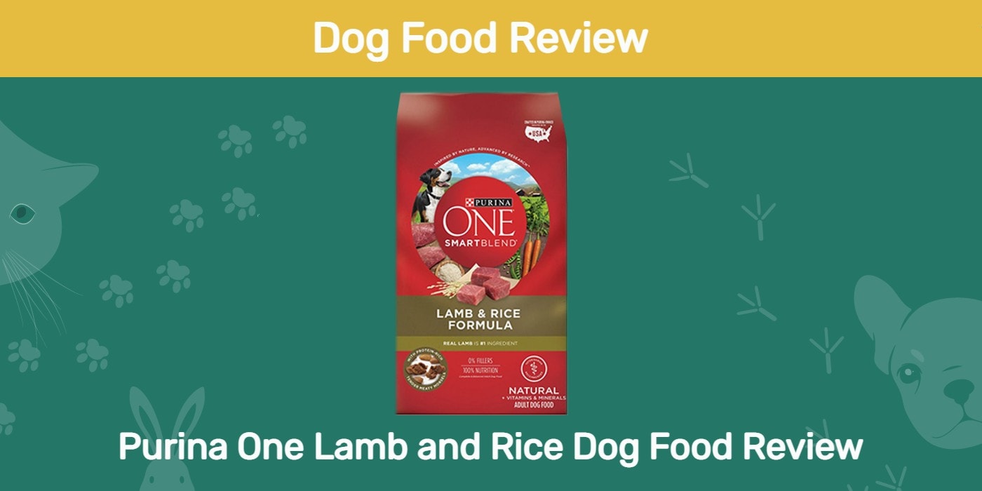 Purina One Lamb and Rice Dog Food Review 2022 Recalls, Pros & Cons