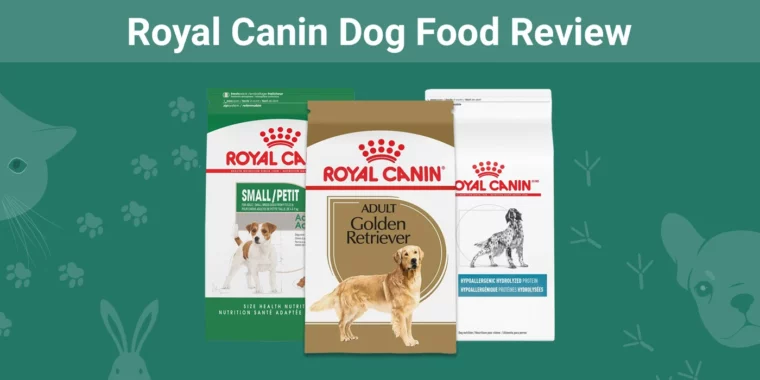 Royal Canin Dog Food - Featured Image