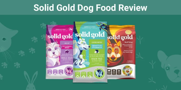 Solid Gold Dog Food - Featured Image
