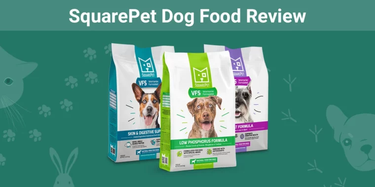 SquarePet Dog Food - Featured Image