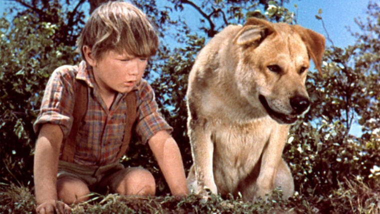 OLD YELLER, Kevin Corcoran, 1957