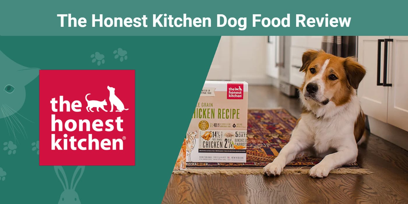 The Honest Kitchen Dog Food Review 