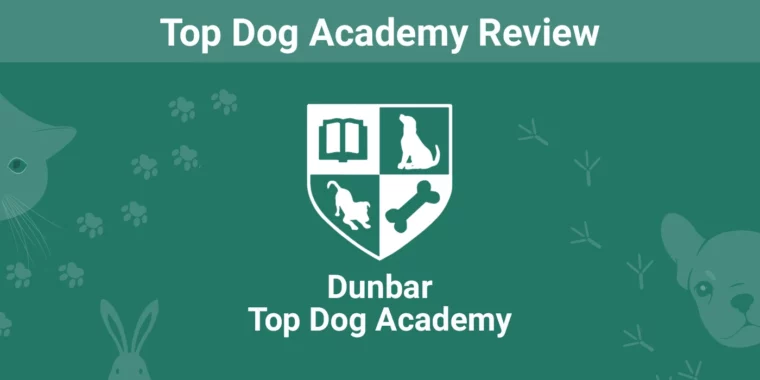 Top Dog Academy - Featured Image