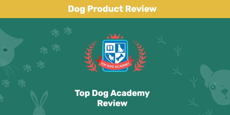Top Dog Academy Review