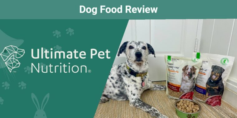 SPRR-ultimate-pet-nutrition-dog-sitting-with-food