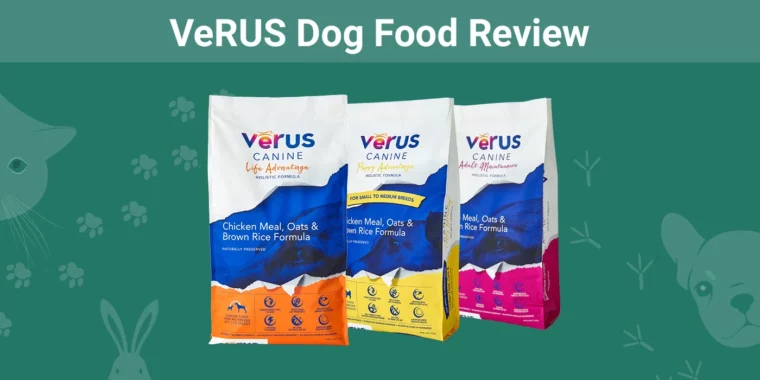 VeRUS Dog Food - Featured Image