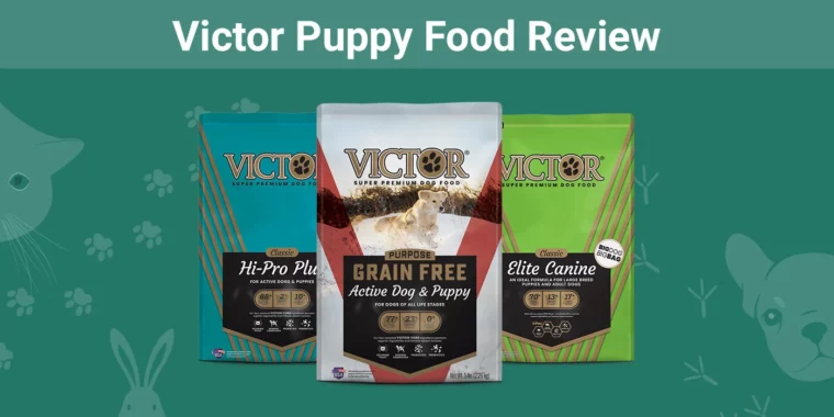 Victor Puppy Food - Featured Image