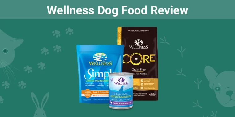 Wellness Dog Food - Featured Image