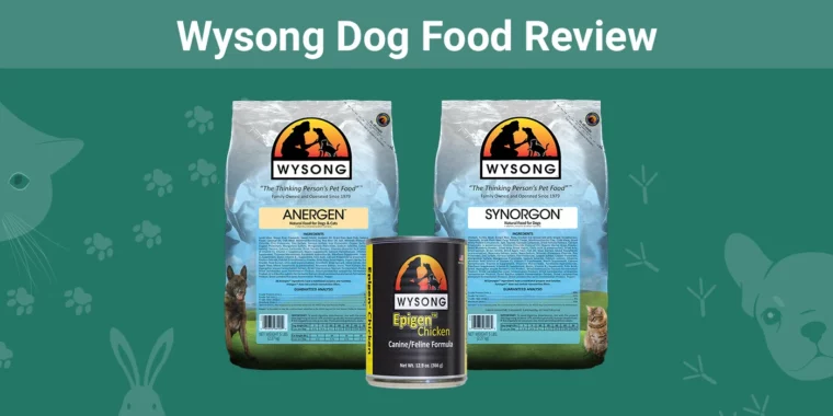 Wysong Dog Food - Featured Image
