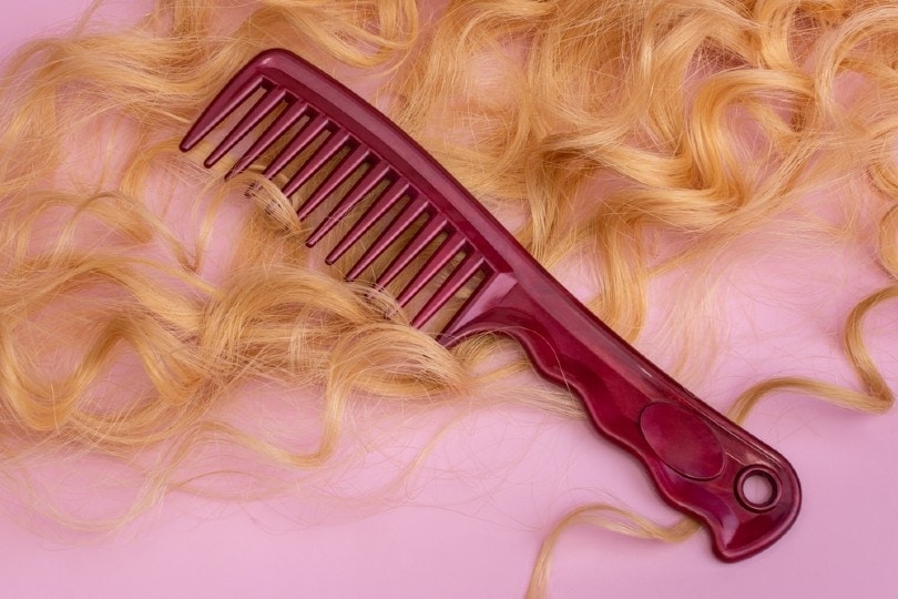 a plastic hair comb on hair