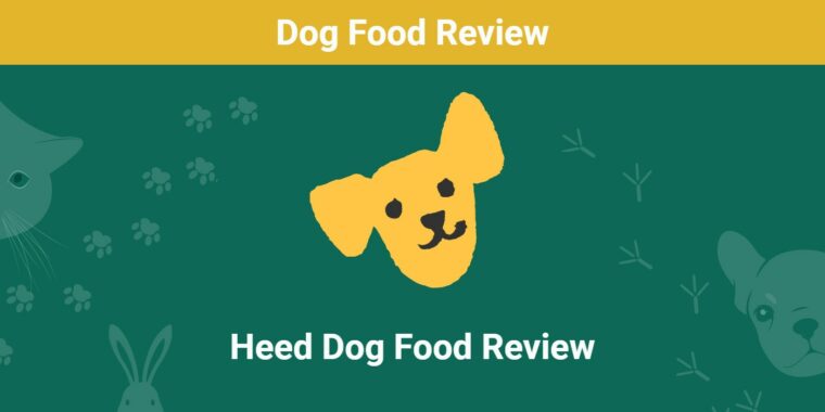 heed review