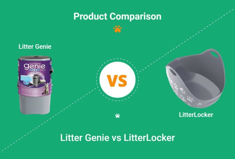 litter genie vs little locker
