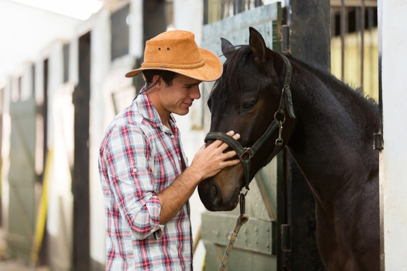 man comforting a horse in stable