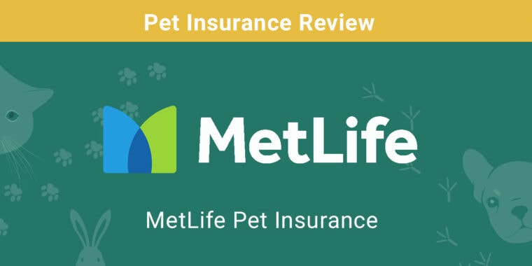 metlife insurance review
