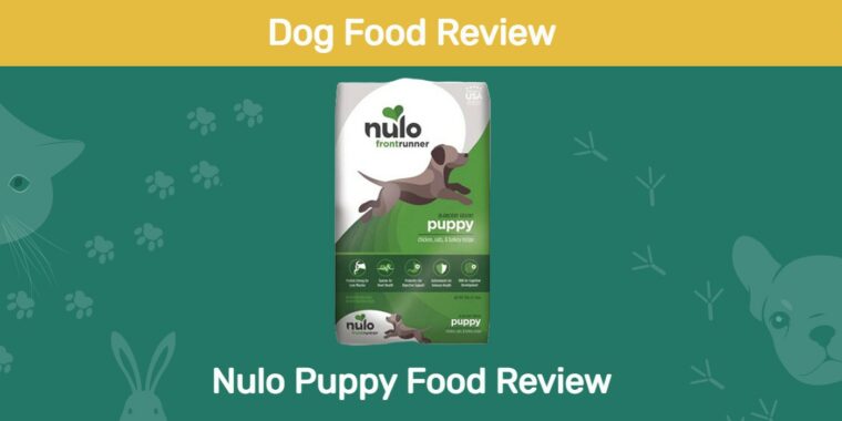 nulo dog food review