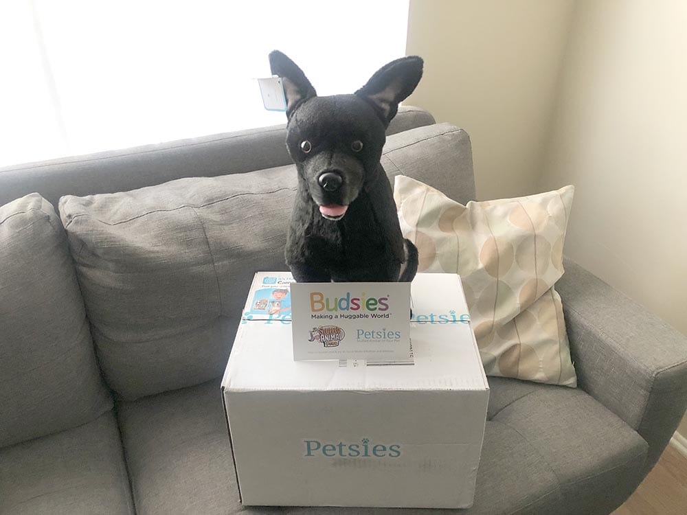 petsies custom dog plushy on top of a box