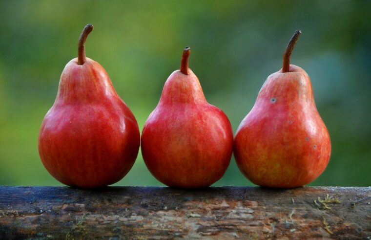 three pears on wood