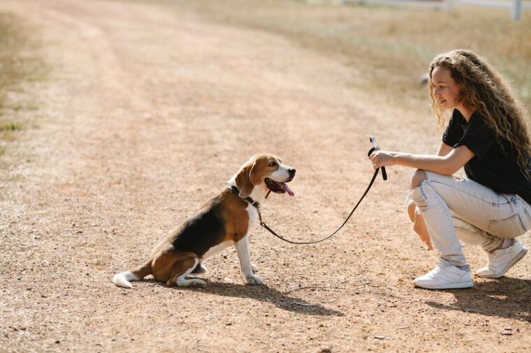 Una mujer y un beagle llevan correa.