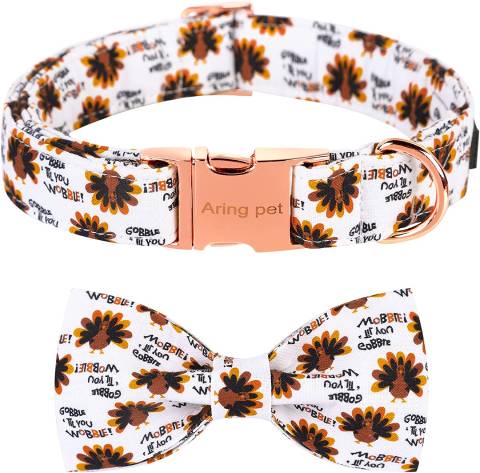ARING PET Dog Collar with Detachable Bow