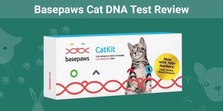 Basepaws Cat DNA Test - Featured Image