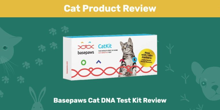 Basepaws Cat DNA Test Kit Review