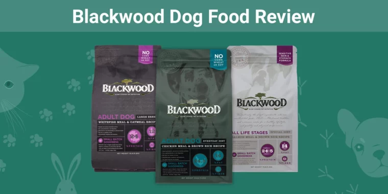 Blackwood Dog Food - Featured Image