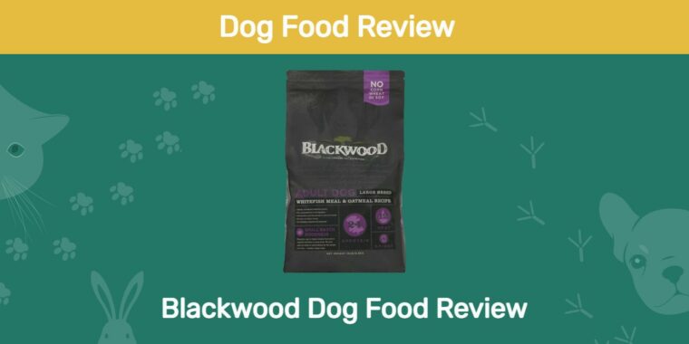 Blackwood dog food review