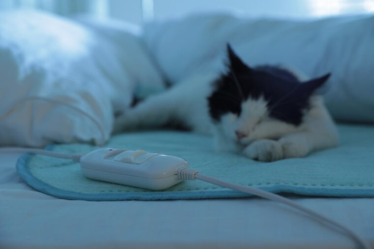 Cute cat in bed with electric heating pad, focus on cable