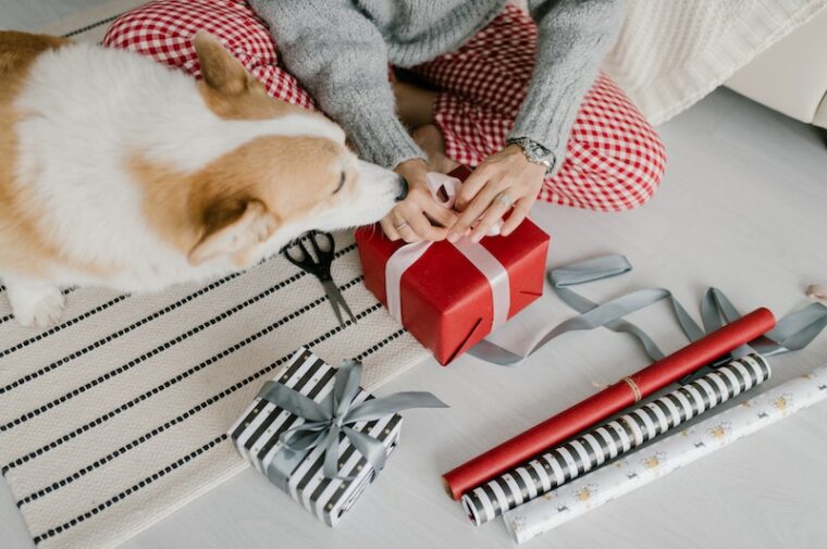 Dog beside a person wrapping gifts