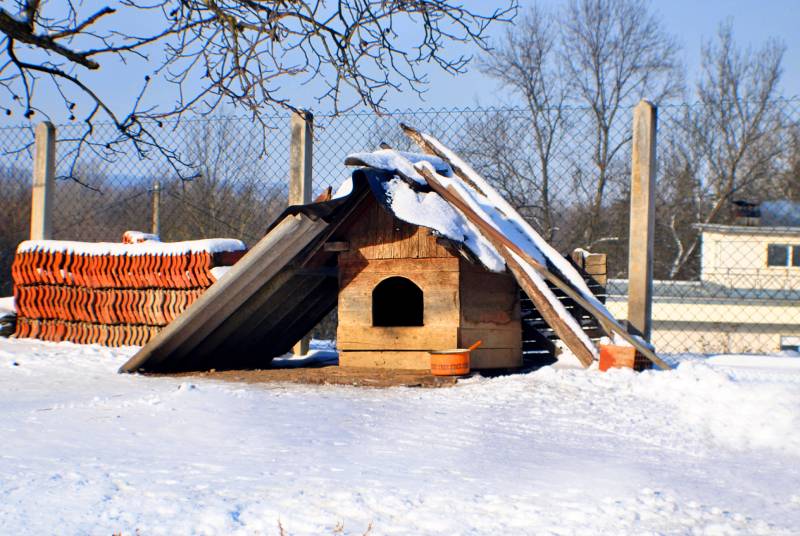Dog house in winter time