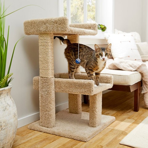 Frisco 32” Real Carpet Wooden Cat Tree With Toy