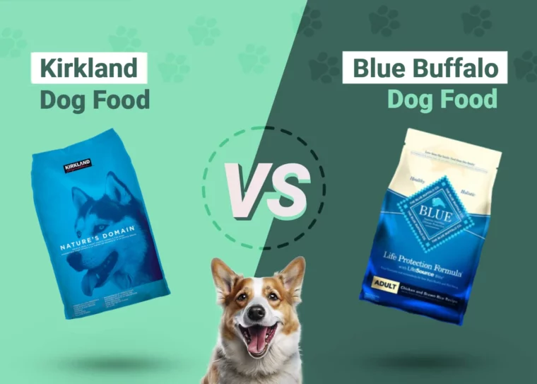 Kirkland vs Blue Buffalo Dog Food - Featured Image